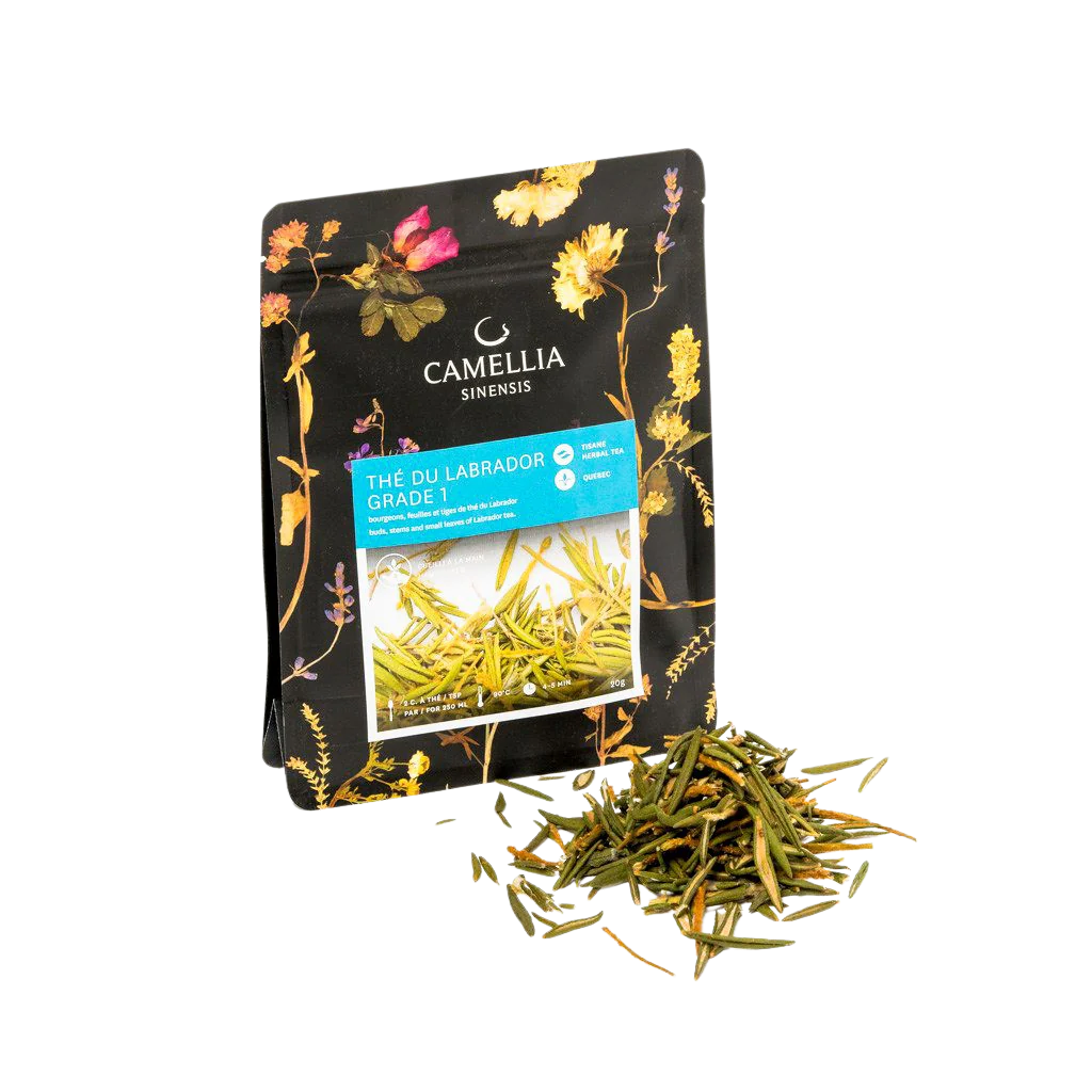 Camellia Sinensis | Labrador tea